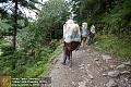 Нажмите на изображение для увеличения
Название: nepal_trek_k_everestu_1_den_lukla-phakding_2827m-ds2_8592.jpg
Просмотров: 71
Размер:	98.7 Кб
ID:	5340