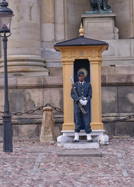 Стокгольм, стража Королевского дворца