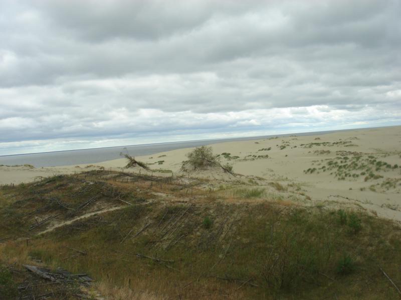 Дюны, вид на Куршский залив