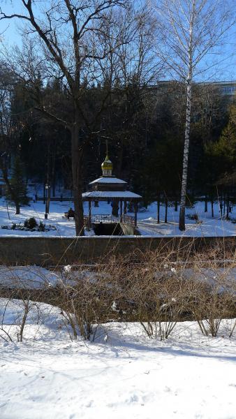 родник в нижнем парке