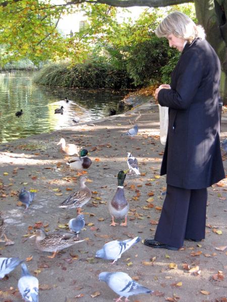 Карловы Вары 102
Птичий обед в садах Дворжака. Питаются вместе и утки и голуби.