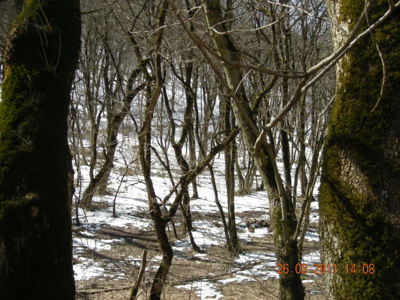 Первый солнечный день