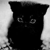 Фотография Секре1ый