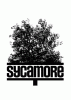 Аватар для Sycamore