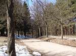 В парке