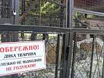 Надпись на вольере леопарда в санатории Карпаты. Не  на русском, но все понятно!