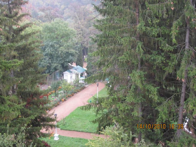 Территория Музея усадьбы Ярошенко