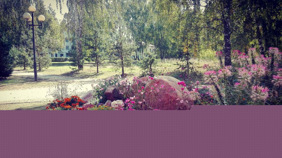 IMG 20190903 113405