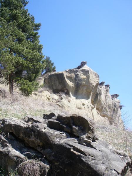 Кисловодск, в парке