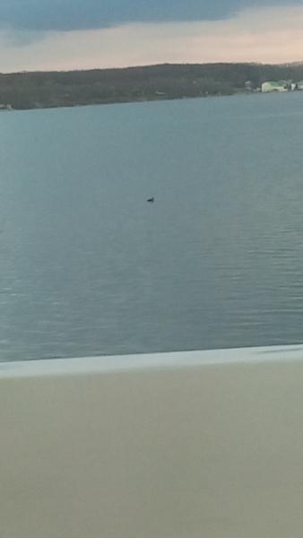 IMG 20170419 180955