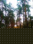 Пятигорск. Ноябрь 19.