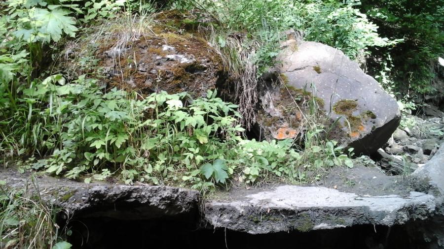 Каменный хомяк на туристической тропе. Кисловодск 2015