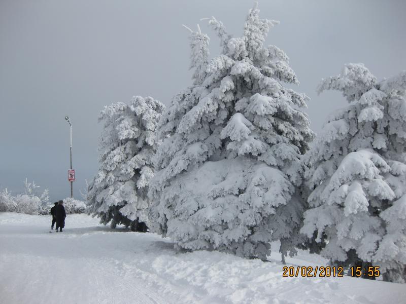 IMG 6132 Вершина г. Машук после снегопада