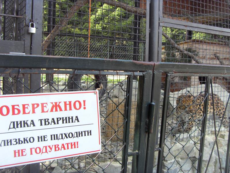 Надпись на вольере леопарда в санатории Карпаты. Не  на русском, но все понятно!