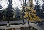 КМВ. ноябрь 2011 г.